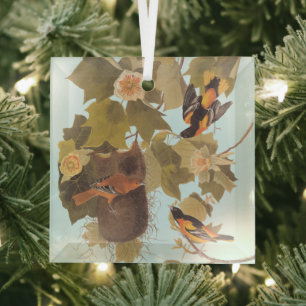 Baltimore Oriole Audubon Bird Familie mit Nest Ornament Aus Glas