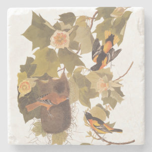 Baltimore Oriole Audubon-Vogelfamilie mit Nest Steinuntersetzer
