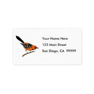 Baltimore Oriole auf einem Zweig Adressaufkleber