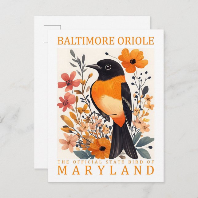 Baltimore Oriole Bird of Maryland USA Travel Postkarte (Vorne/Hinten)