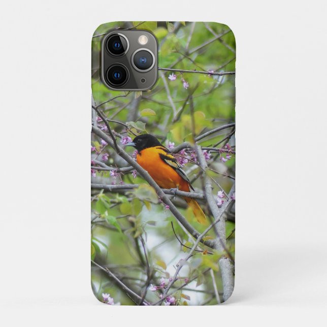 Baltimore Oriole Case-Mate iPhone Hülle (Rückseite)