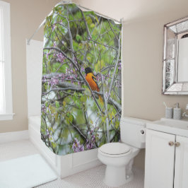 Baltimore Oriole Duschvorhang