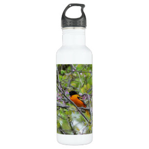 Baltimore Oriole Edelstahlflasche