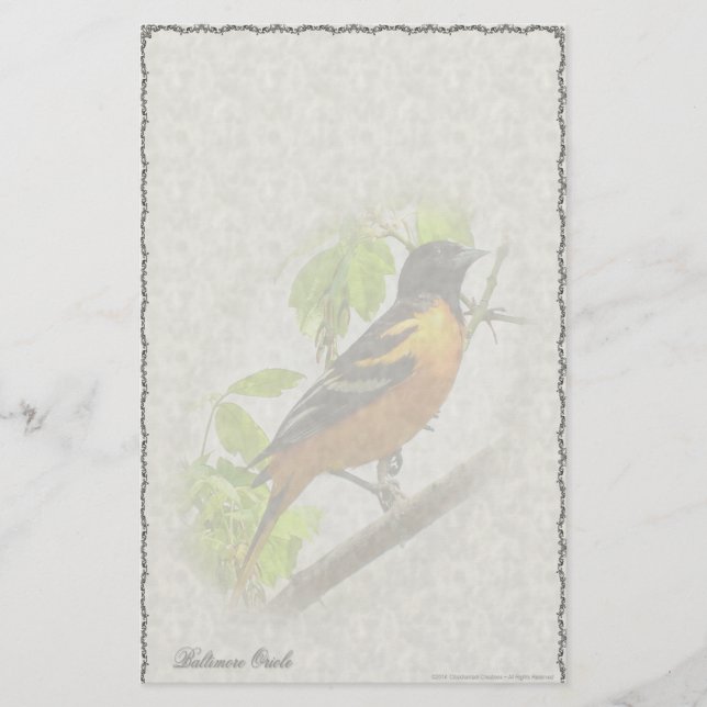 Baltimore Oriole-Gewohnheits-Briefpapier Briefpapier (Vorderseite)