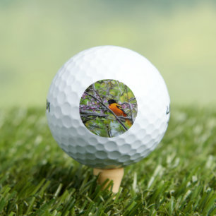 Baltimore Oriole Golfball