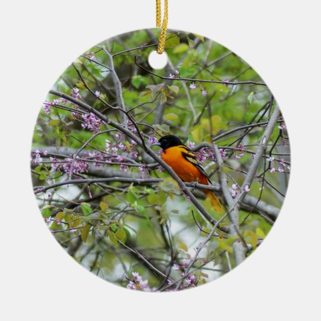 Baltimore Oriole Keramik Ornament (Vorne)