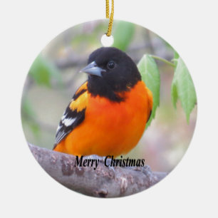 Baltimore Oriole Keramik Ornament