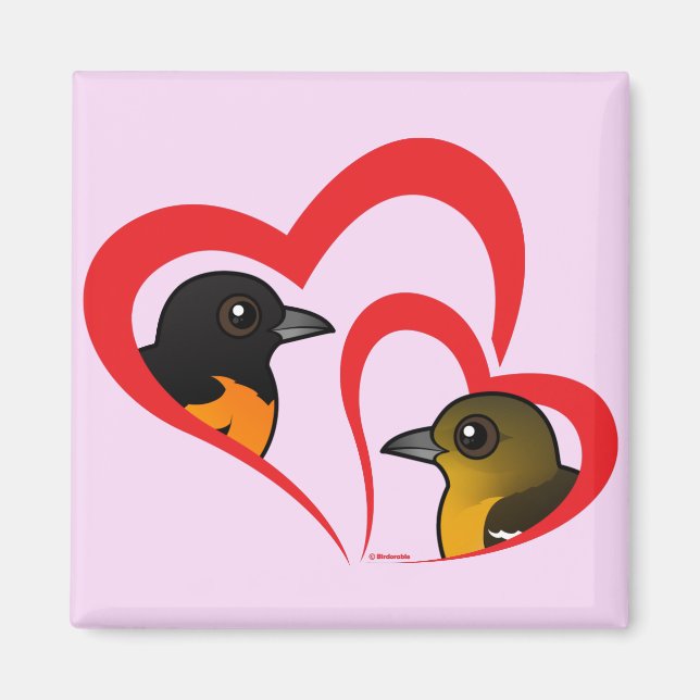 Baltimore Oriole Liebe Magnet (Vorne)