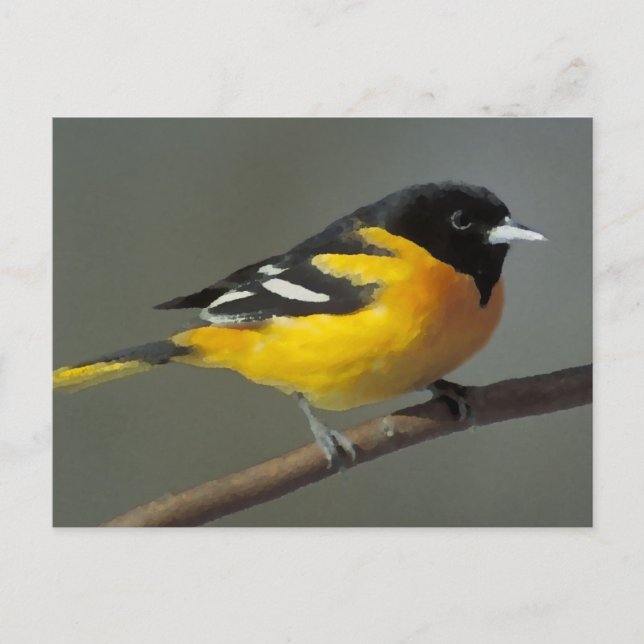 Baltimore Oriole Logo (Palette) Postkarte (Vorderseite)