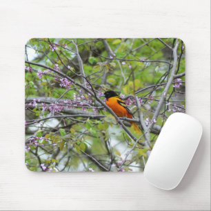 Baltimore Oriole Mousepad