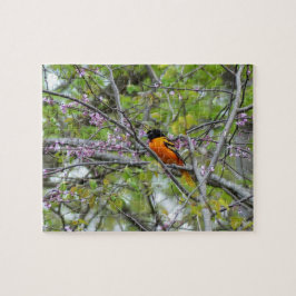 Baltimore Oriole Puzzle