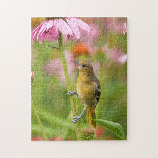 Baltimore Oriole Puzzle (Vertikal)