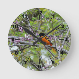 Baltimore Oriole Runde Wanduhr