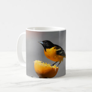 Baltimore Oriole Tasse