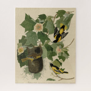 Baltimore Oriole - von Audubons Vögeln Amerikas Puzzle