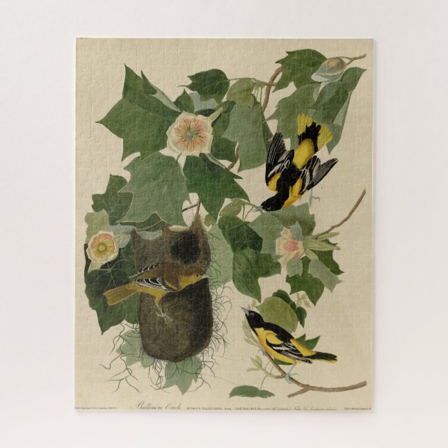 Baltimore Oriole - von Audubons Vögeln Amerikas Puzzle (Vertikal)