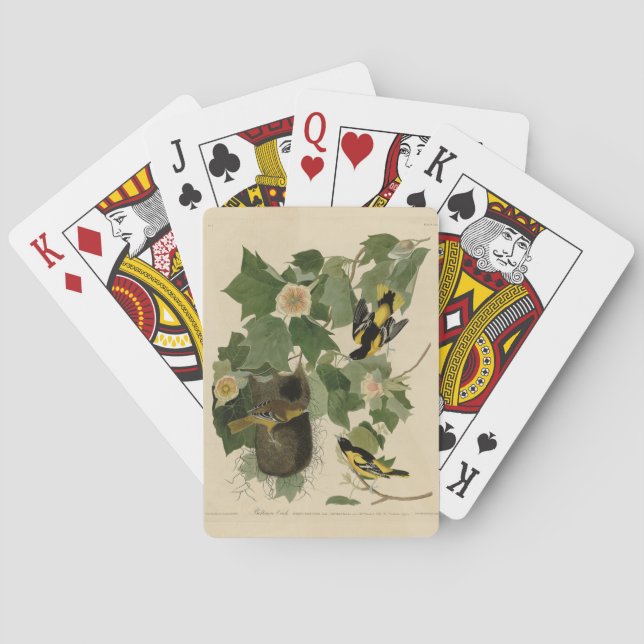 Baltimore Oriole - von Audubons Vögeln Amerikas Spielkarten (Rückseite)