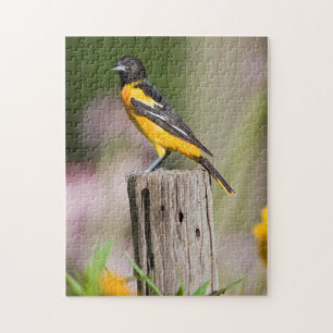 Baltimore Oriole Weibchen im Blumengarten Puzzle