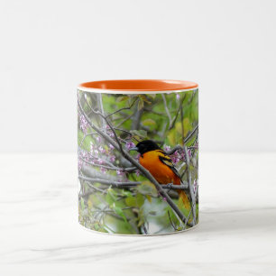Baltimore Oriole Zweifarbige Tasse