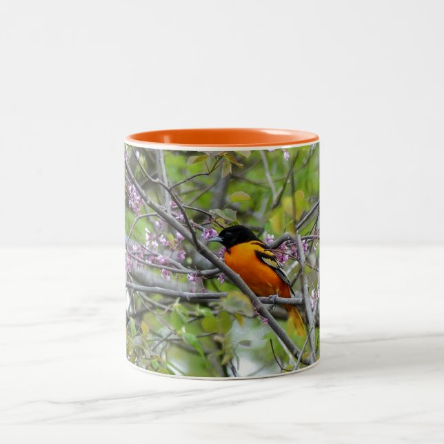 Baltimore Oriole Zweifarbige Tasse (Mittel)