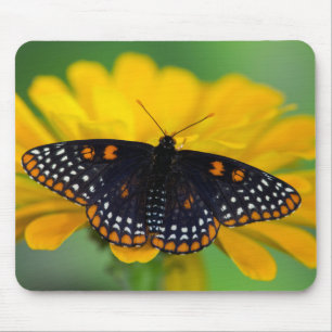 Baltimore-Scheckenfalter Mousepad