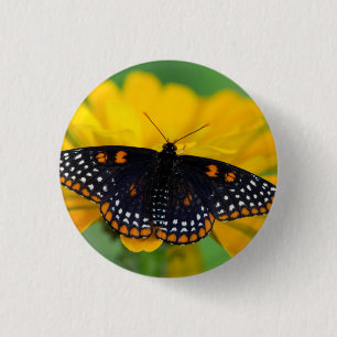 Baltimore Schmetterling Button