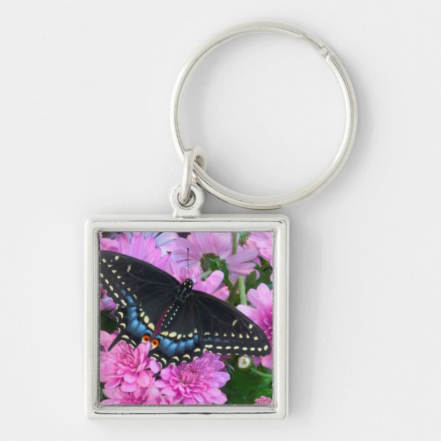 Baltimore Schmetterling Schlüsselanhänger (Vorne)