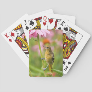 Baltimore-Trillvogel Spielkarten