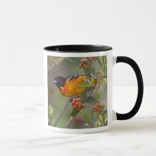 Baltimore-Trillvogel Tasse