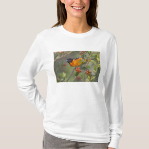 Baltimore-Trupial T-Shirt