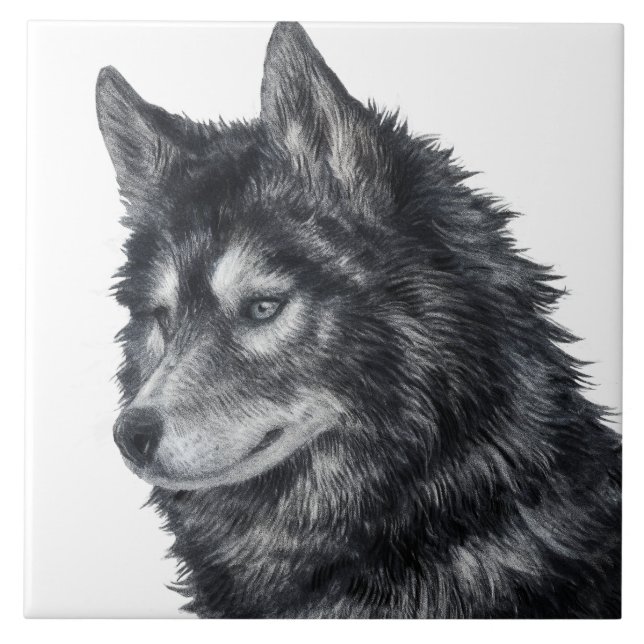 Balto Dog Illustration Fliese (Vorderseite)