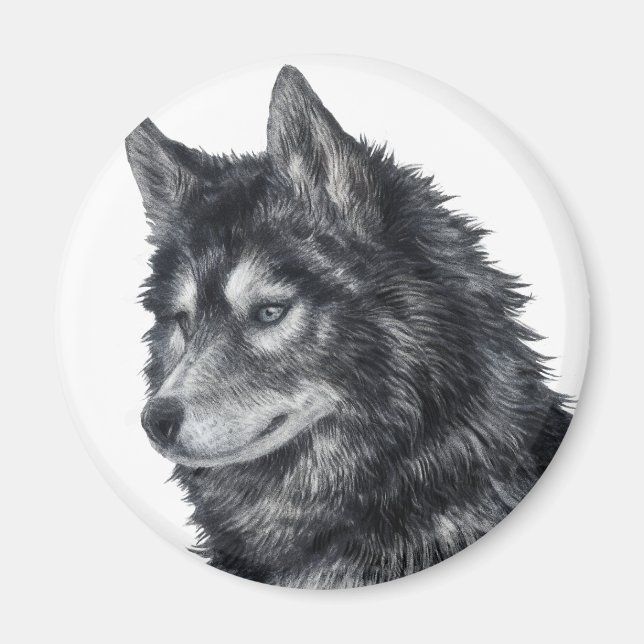 Balto Dog Magnet (Vorne)