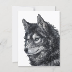 Balto Dog Postkarte