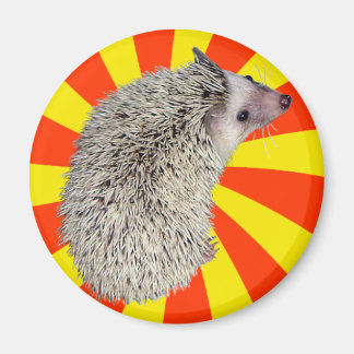 BAM! Igel Magnet 2