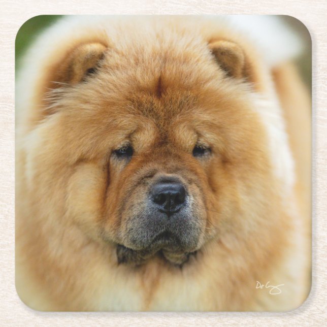 Bamba Chow Untersetzer (Vorderseite)