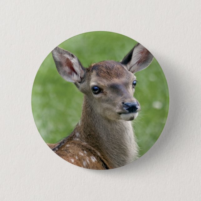 Bambi-Abzeichen Button (Vorderseite)