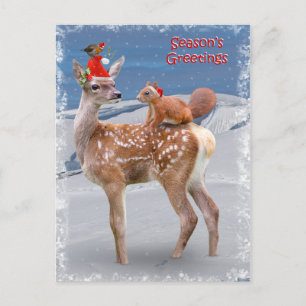 Bambi und die Postkarte der Freunde