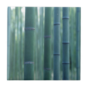 Bamboo Break Fliese