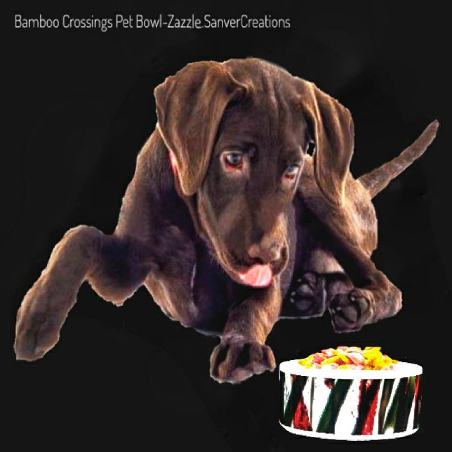 Bamboo Crossing Napf (Von Creator hochgeladen)