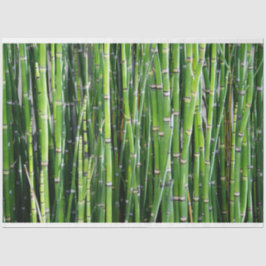 Bamboo Decoupage 24 Background Tissue Paper Seidenpapier
