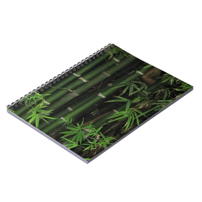 Bamboo ... Fao Rai, Nong Khai, Isaan, Thailand Notizblock (Linke Seite)