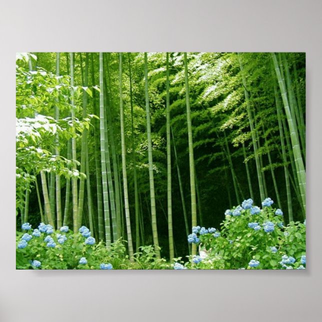 Bamboo Forest Poster (Vorne)