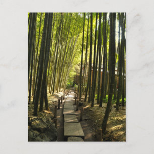 Bamboo Forest Postkarte