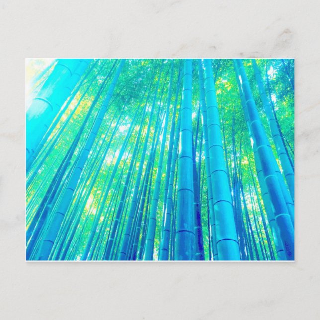 Bamboo Forest Series Postkarte (Vorderseite)