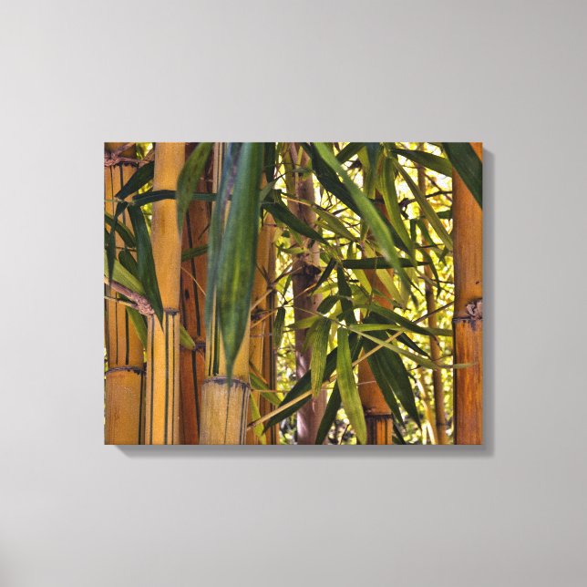 Bamboo Leinwanddruck (Vorderseite)