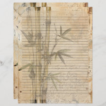 Bamboo Pflanze Altes Manuskript