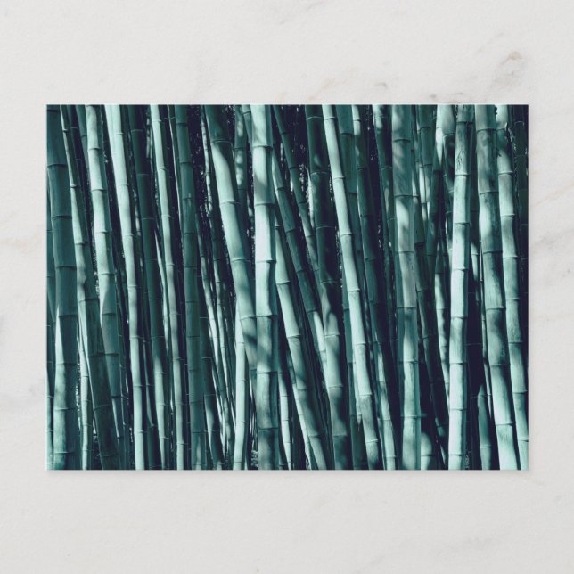 Bamboo Postkarte (Vorderseite)