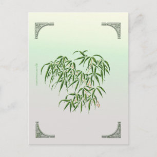 Bamboo Postkarte