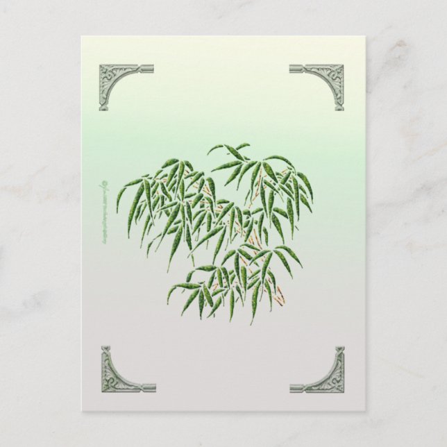 Bamboo Postkarte (Vorderseite)