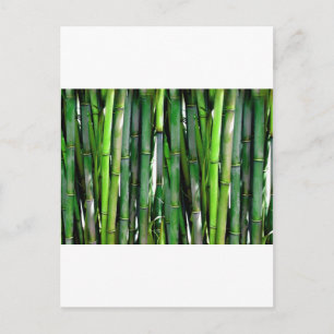 BAMBOO POSTKARTE